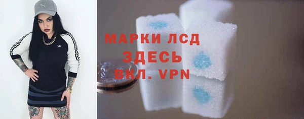 шишки Арсеньев