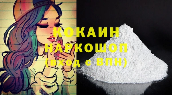 индика Аркадак