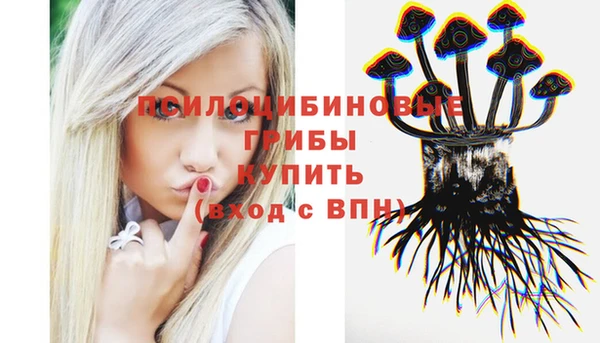индика Аркадак