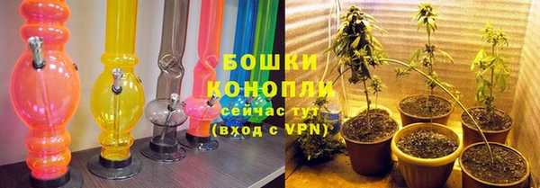 шишки Арсеньев