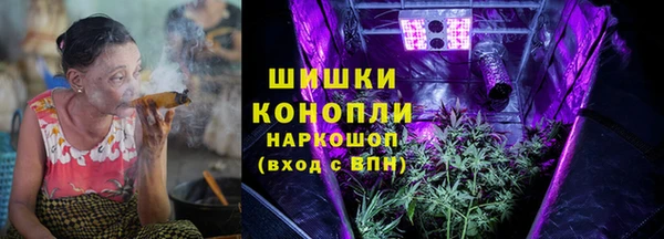 ПСИЛОЦИБИНОВЫЕ ГРИБЫ Алзамай