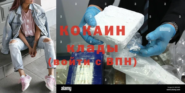 индика Аркадак