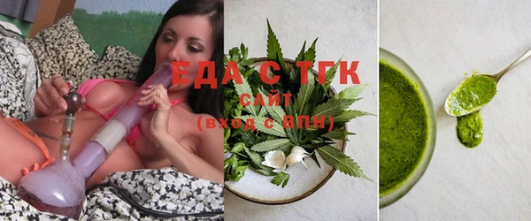 индика Аркадак