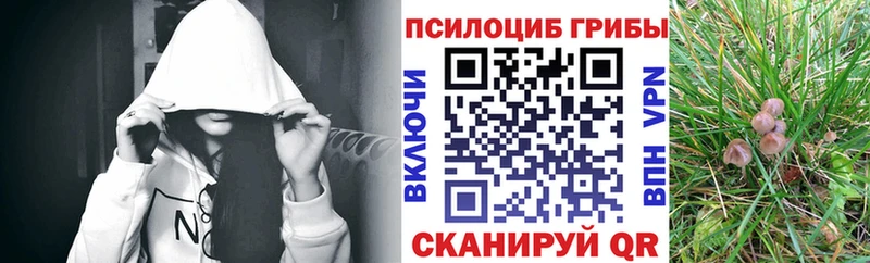 Галлюциногенные грибы MAGIC MUSHROOMS  kraken ССЫЛКА  Краснознаменск 